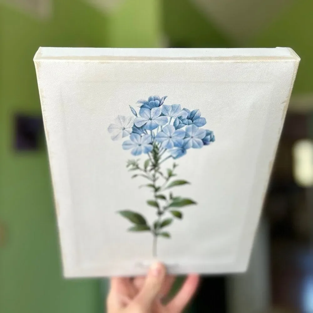 Charming Rustic Floral Blue Plumbago Flower Canvas Wrapped Wall Sign